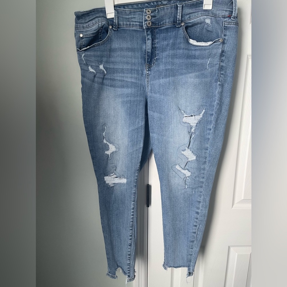 Women’s Torrid Size 22